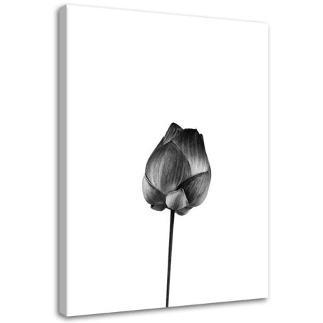 Tableau sur toile Fleur noire et blanche 60x90