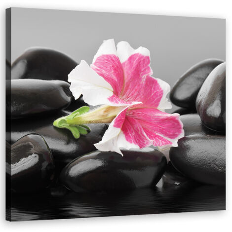 Tableau sur toile Fleur rose sur des pierres zen 50x50