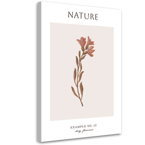 Tableau sur toile Fleur sèche - Nature 40x60