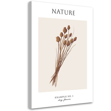 Tableau sur toile Fleur sèche - Nature 40x60