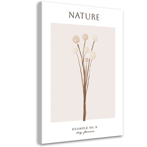 Tableau sur toile Fleur sèche - Nature 40x60