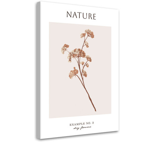 Tableau sur toile Fleur sèche - Nature 60x90