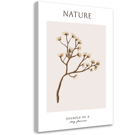 Tableau sur toile Fleur sèche - Nature 60x90