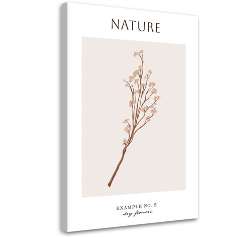 Tableau sur toile Fleur sèche - Nature 70x100