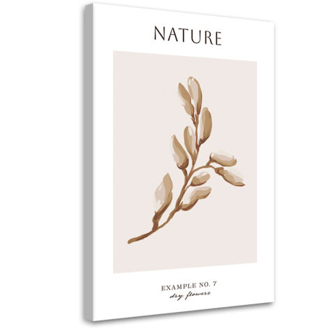 Tableau sur toile Fleur sèche - Nature 70x100