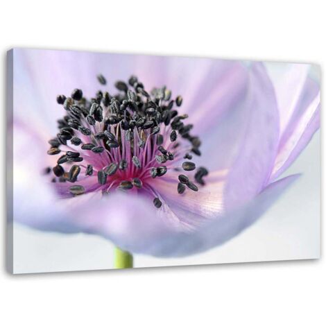 Tableau sur toile Fleur violette Nature Macro 100x70