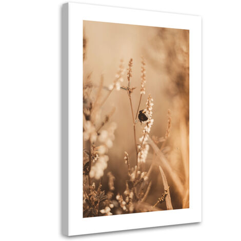 Tableau sur toile Fleurs beiges dans le champ 70x100