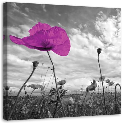 Tableau sur toile Fleurs Coquelicots Lilas dans le pré 50x50