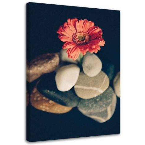 Tableau sur toile Fleurs de gerbera Pierres zen 40x60