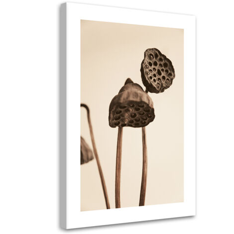 Tableau sur toile Fleurs de lotus séchées 40x60