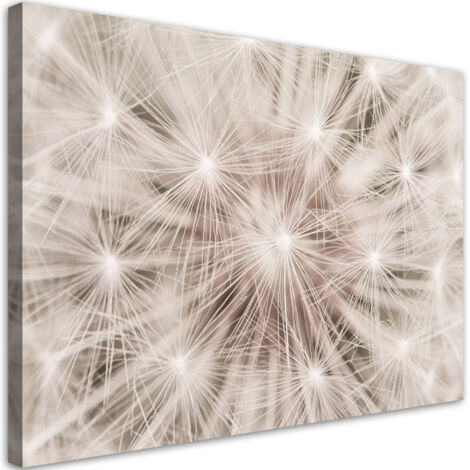 Tableau sur toile Fleurs de pissenlit Nature macro 90x60