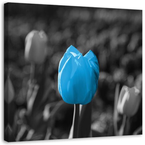 Tableau sur toile Fleurs de tulipe Bleu Gris 30x30