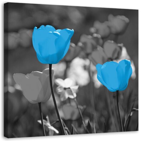 Tableau sur toile Fleurs de tulipes Nature Bleu 50x50