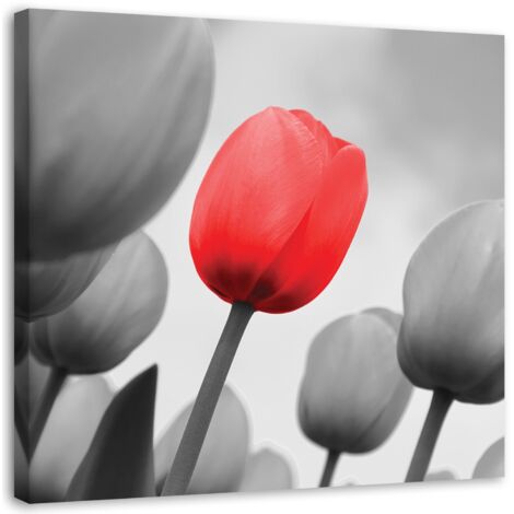 Tableau sur toile Fleurs de tulipes rouges 30x30