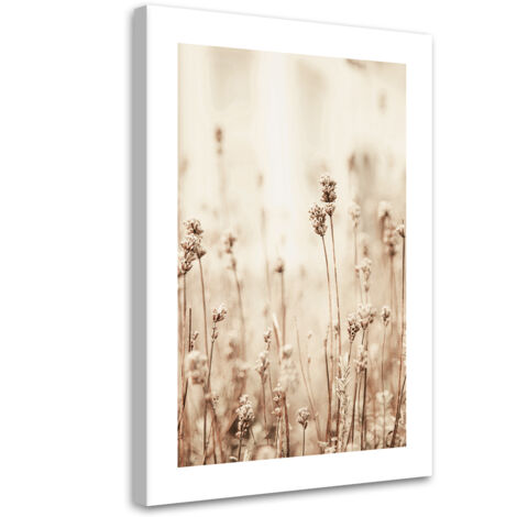 Tableau sur toile Fleurs des champs délicates 40x60
