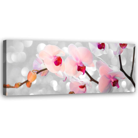 Tableau sur toile Fleurs d'orchidées Nature 90x30