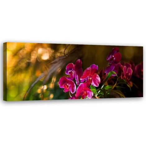 Tableau sur toile Fleurs d'orchidées zen 90x30
