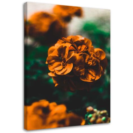 Tableau sur toile Fleurs orangées 40x60