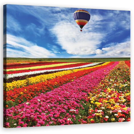 Tableau sur toile Fleurs Prairie Nature Paysage 40x40