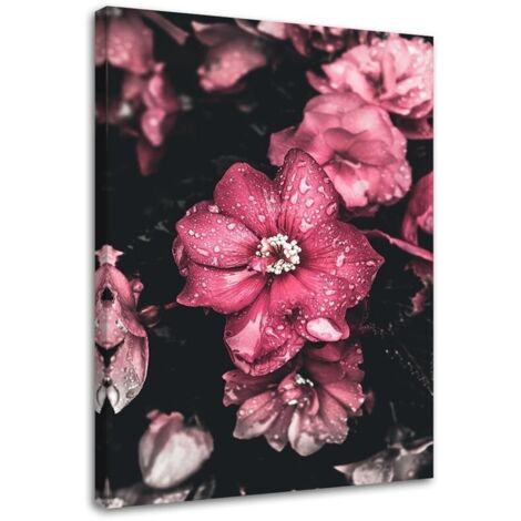 Tableau sur toile Fleurs Rose Nature 40x60