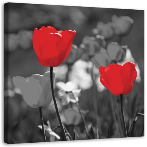Tableau sur toile Fleurs rouges Tulipes Nature 30x30