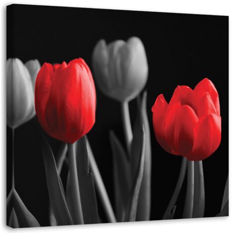 Tableau sur toile Fleurs Tulipes Rouge Gris 50x50