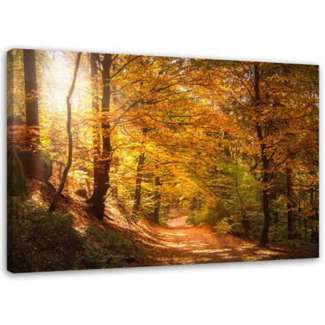 Tableau sur toile Forêt Automne Paysage Nature 60x40