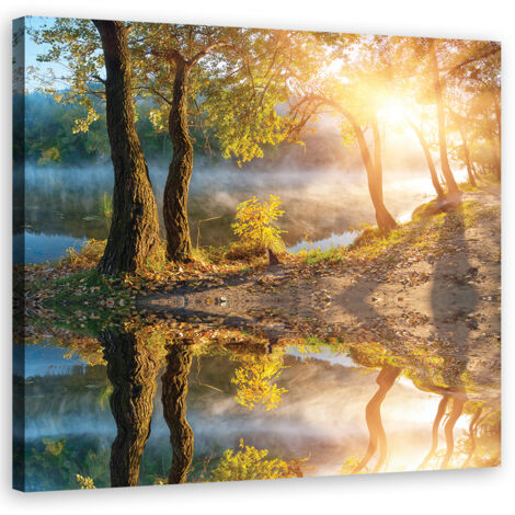 Tableau sur toile Forêt Brouillard Lac Paysage 30x30