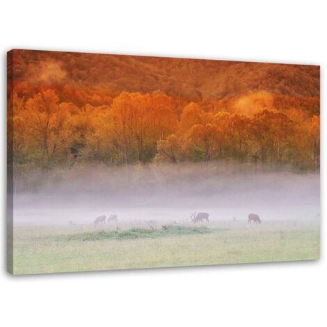 Tableau sur toile Forêt brumeuse 60x40