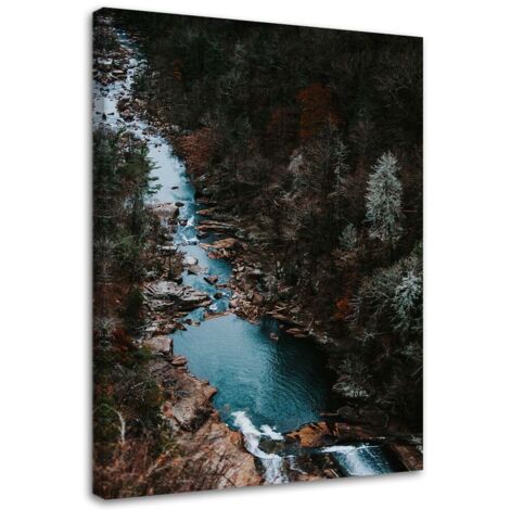 Tableau sur toile Forêt Courant Montagnes Nature 40x60