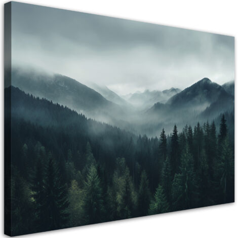 Tableau sur toile Forêt dans la brume 100x70