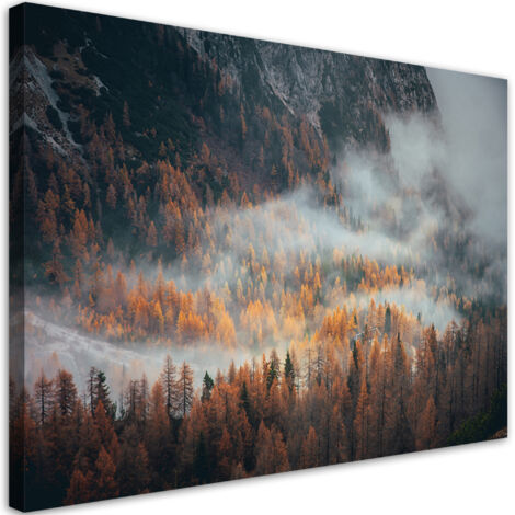Tableau sur toile Forêt dans le brouillard 100x70