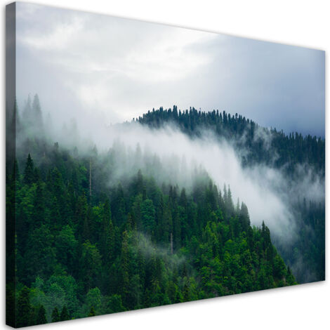 Tableau sur toile Forêt dans le brouillard 100x70