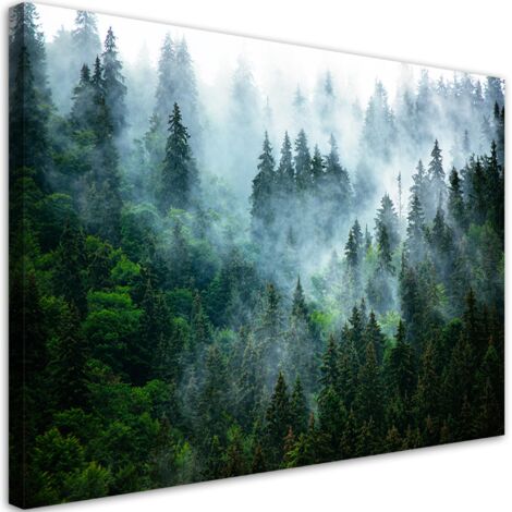 Tableau sur toile Forêt dans le brouillard 100x70