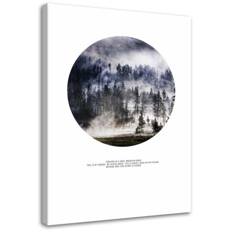 Tableau sur toile Forêt dans le brouillard 40x60