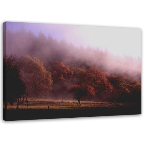 Tableau sur toile Forêt dans le brouillard Nature 60x40