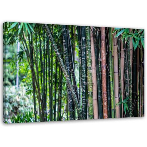 Tableau sur toile Forêt de bambous Vert 100x70