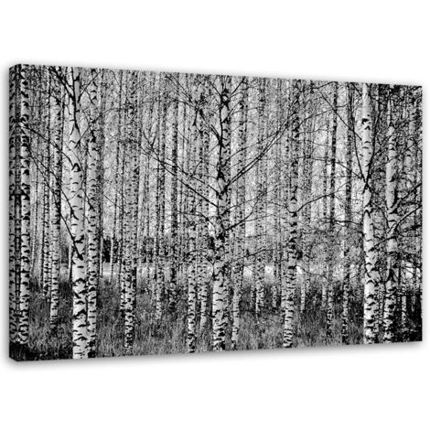 Tableau sur toile Forêt de bouleaux 60x40