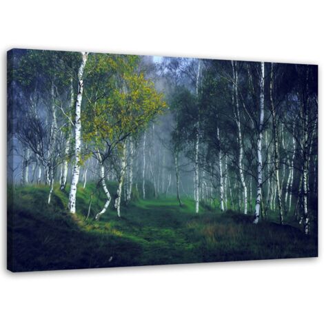 Tableau sur toile Forêt de bouleaux dans le brouillard Paysage 60x40