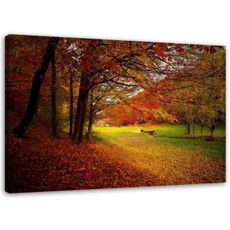 Tableau sur toile Forêt Feuilles Automne 60x40