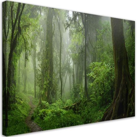 Tableau sur toile, Forêt jungle tropicale - 120x80