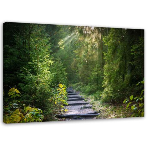 Tableau sur toile Forêt Nature Vert Paysage 60x40