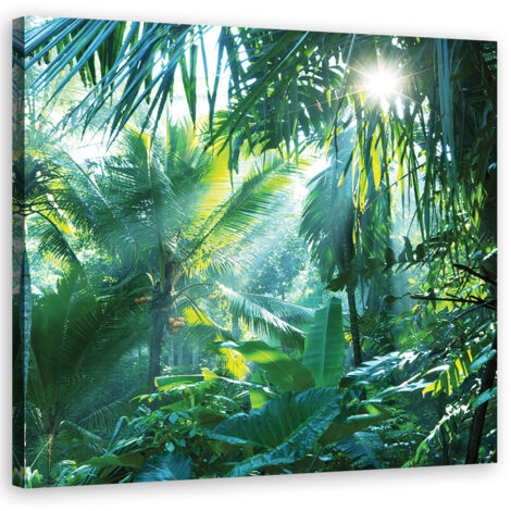 Tableau sur toile Forêt tropicale nature 40x40