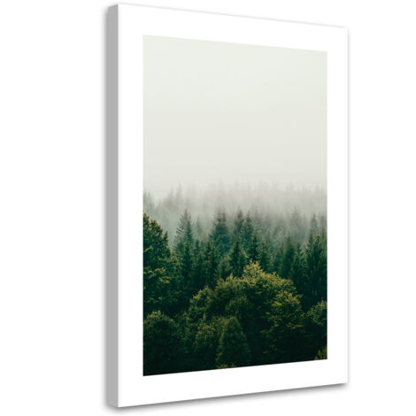 Tableau sur toile Forêt verte dans le brouillard 40x60