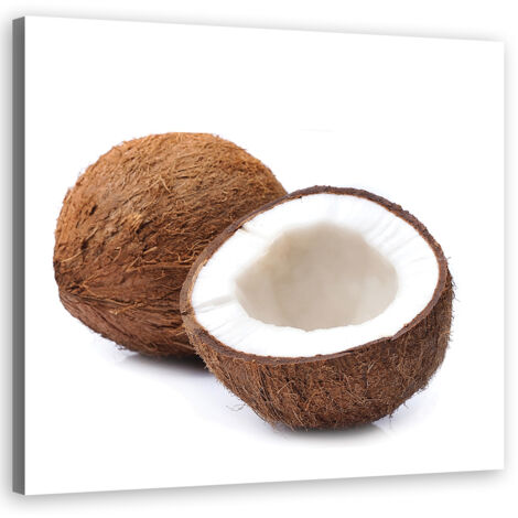 Tableau sur toile Fruit de la noix de coco 40x40