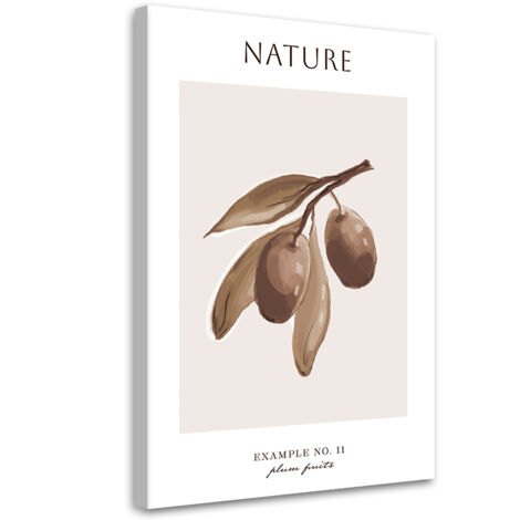 Tableau sur toile Fruit de prune - Nature 40x60