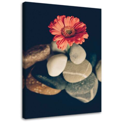 Tableau sur toile Gerbera Fleurs Pierres 60x90