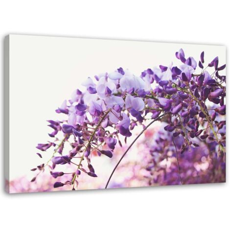 Tableau sur toile Glycine Fleurs Nature 60x40