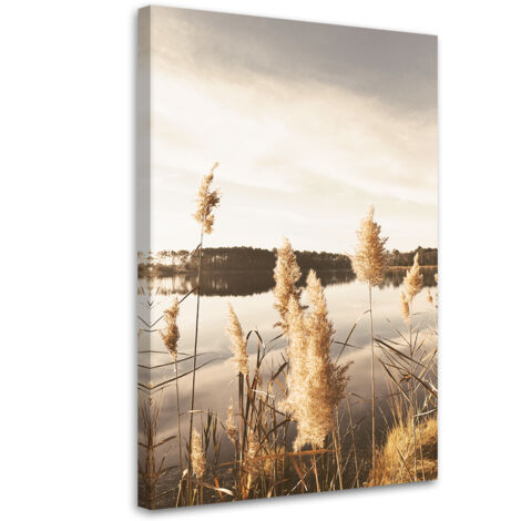 Tableau sur toile Herbe de la pampa au bord du lac 70x100