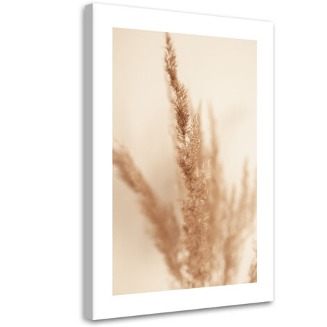 Tableau sur toile Herbe de la pampa beige 40x60